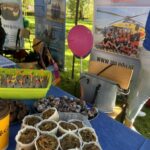Stoisko Akademii im. Jakuba z Paradyża z materiałami promocyjnymi i zdrowymi przekąskami, m.in. muffinkami z pestkami dyni i kulkami mocy. W tle banery o kierunku ratownictwo medyczne i balonik.