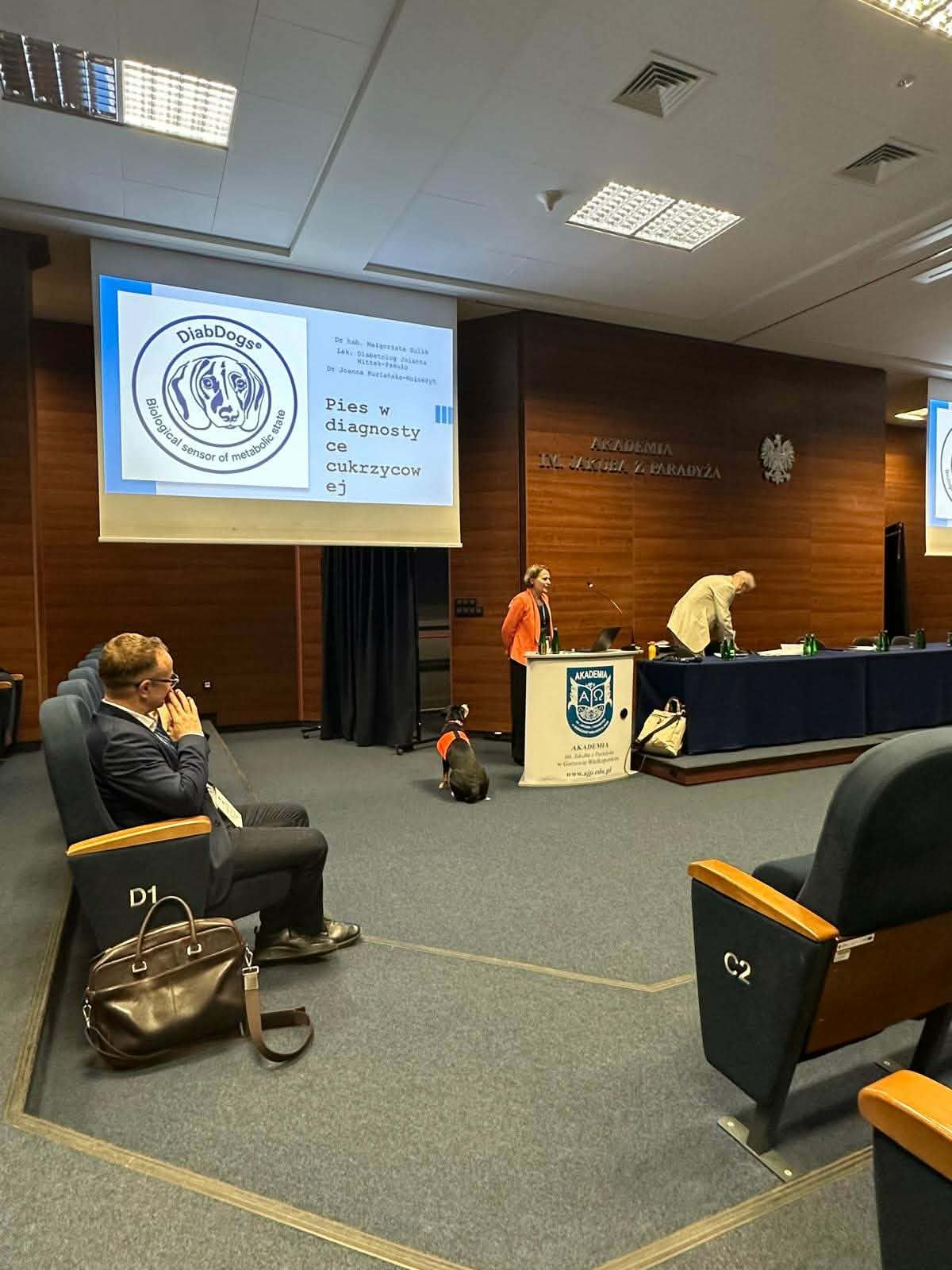 Prezentacja naukowa w sali wykładowej – na ekranie slajd o wykorzystaniu psa w diagnostyce cukrzycy. Obok mównicy stoi prelegentka, a na podłodze siedzi pies w uprzęży, zwracając uwagę uczestników.